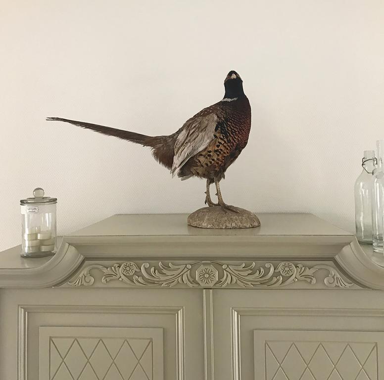 Vita Huset B&B Soelvesborg Buitenkant foto